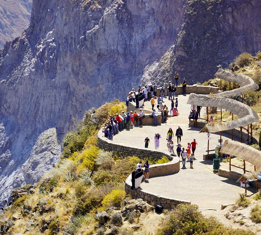 Cañón de Colca en 1 día