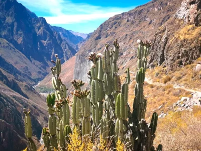 Cañon del Colca 2D/1N Cañon del Colca 2D/1N