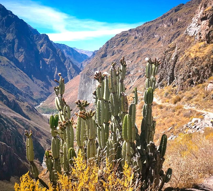 Cañon del Colca 2D/1N