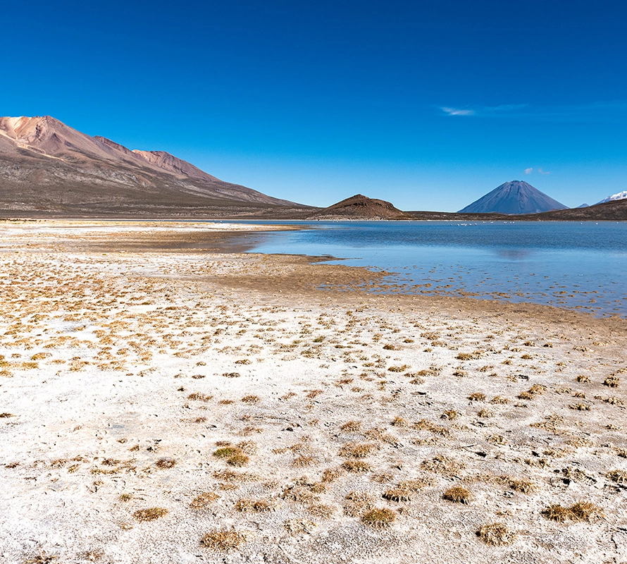 Reserva Nacional de Salinas y Aguada Blanca