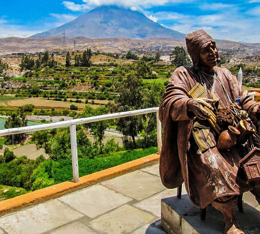 Tour Campiña – bus panorámico