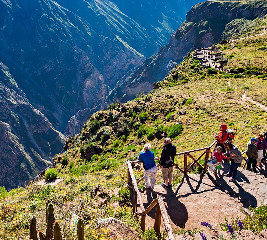 Cañón del Colca día completo (Servicio Grupal)